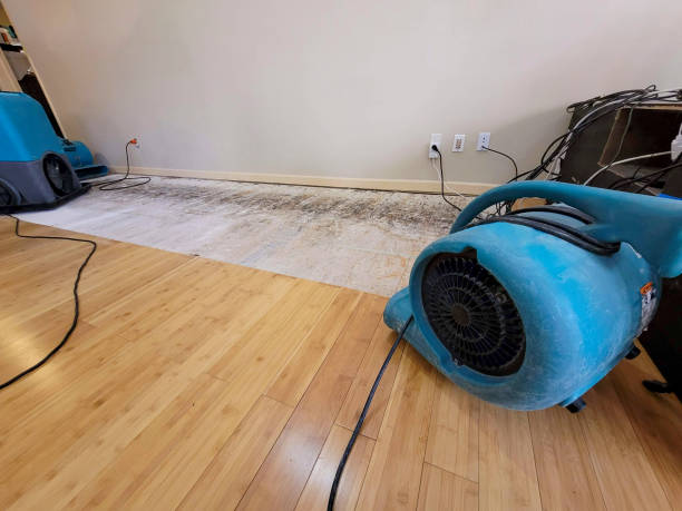 Professional Water Damage Repair technician working in Humble, TX